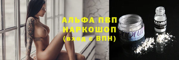apvp Алексин