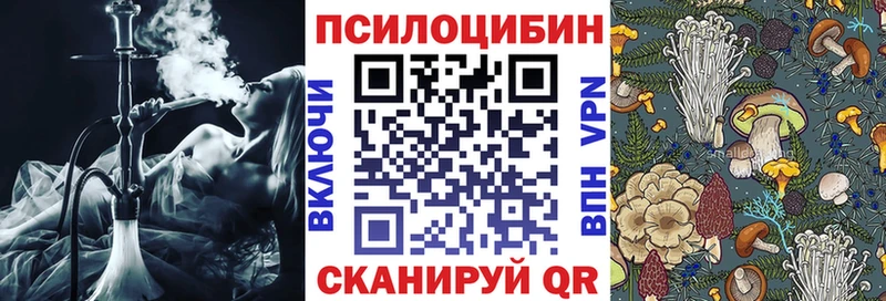 Галлюциногенные грибы Psilocybe  купить   Дно 